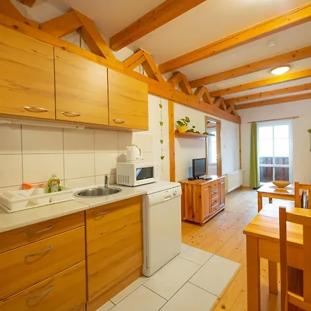 Sokolovna Apartment *