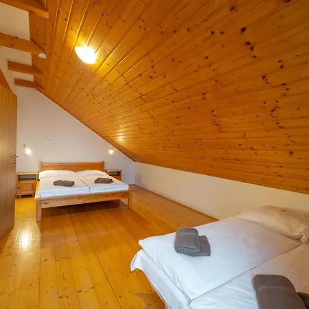 Apartamento Sokolovna *