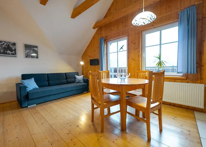 Apartment Sokolovna *