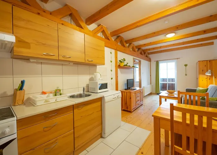 Sokolovna Apartment *